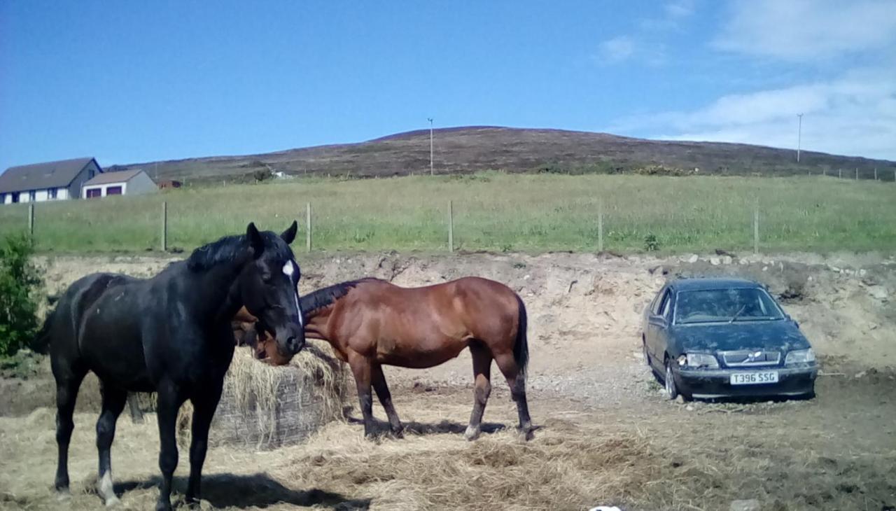 Scorrabrae, Orphir, Mainland Orkney, Scotland, United Kingdom Guest House Orphir  Bagian luar foto